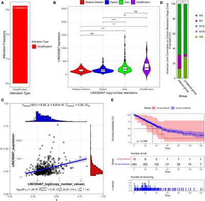 LINC00467 Is Upregulated by DNA Copy Number Amplification and Hypomethylation and Shows ceRNA Potential in Lung Adenocarcinoma